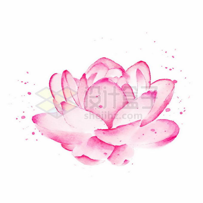 盛开的粉红色莲花水彩画7235364矢量图片免抠素材 生物自然-第1张
