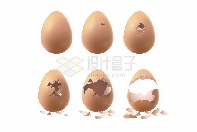 鸡蛋破壳的过程蛋壳碎了9965036矢量图片免抠素材 生活素材-第1张