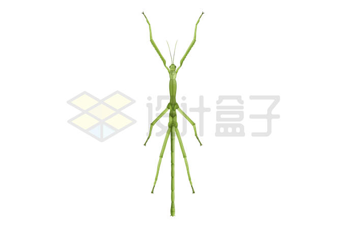 一只竹节虫绿色昆虫3043073矢量图片免抠素材 生物自然-第1张