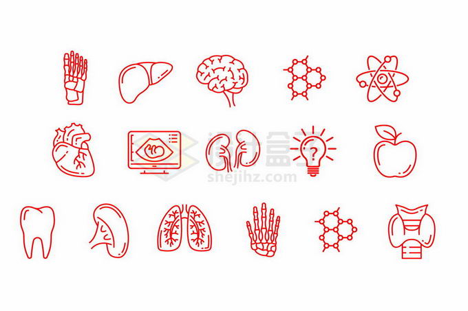 手指骨肾脏大脑等人体器官线条图标7118334矢量图片免抠素材 健康医疗-第1张