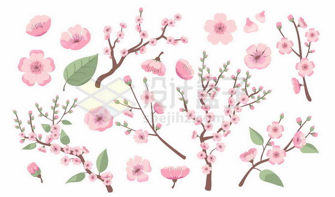 各种桃花枝和盛开的桃花粉色花朵8034858矢量图片免抠素材 生物自然-第1张
