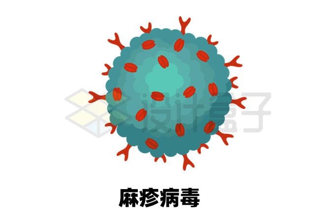 麻疹病毒模型图片