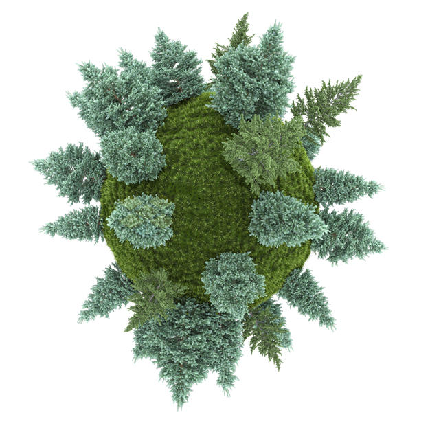 鱼眼效果灌木丛中的大树风景微型星球3D模型5194981PSD免抠图片素材 生物自然-第1张