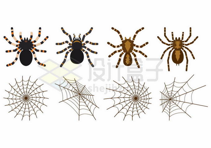 4款蜘蛛和蛛丝网5672609矢量图片免抠素材 生物自然-第1张