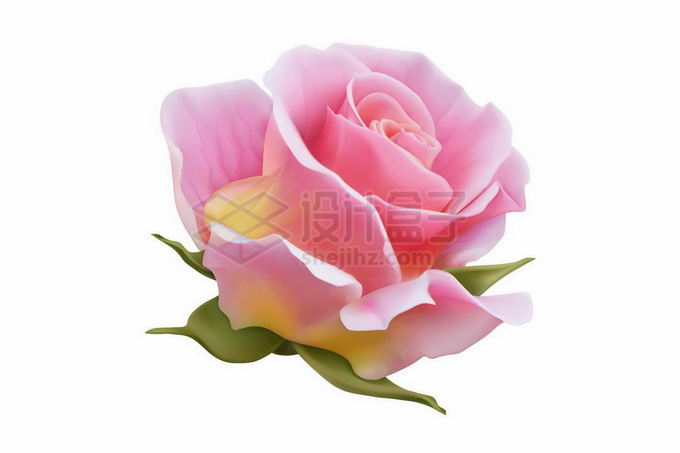 一朵粉红色的玫瑰花美丽花朵3017799矢量图片免抠素材 生物自然-第1张