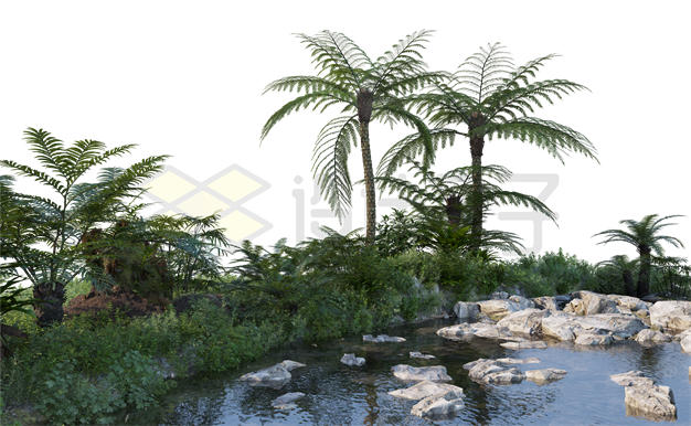 热带雨林中的大树和灌木丛和一个水塘小溪风景8171212PSD免抠图片素材 生物自然-第1张