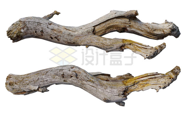 2根干枯的枯树干木头5119337PSD免抠图片素材 生物自然-第1张