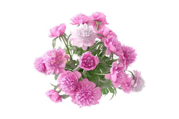 一大捧盛开的粉红色花朵鲜花3255233PSD免抠图片素材 生物自然-第1张