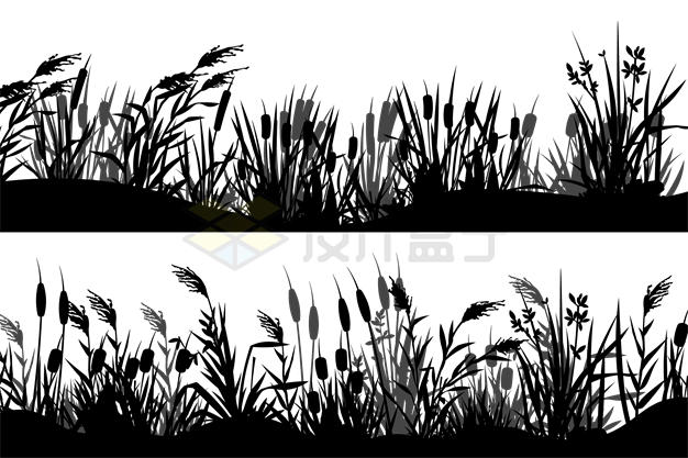 2款香蒲芦苇半水生植物黑色剪影3092178矢量图片免抠素材 生物自然-第1张