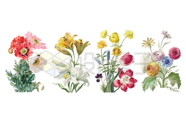 4款美丽的鲜花花卉花朵4838494矢量图片免抠素材 生物自然-第1张