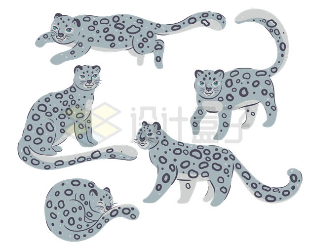 5款各种姿态的卡通雪豹插画7001708矢量图片免抠素材 生物自然-第1张