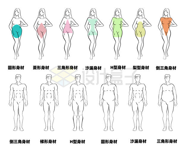 各种形状的女性和男性身材线条图案示意图4148314矢量图片免抠素材 人物素材-第1张