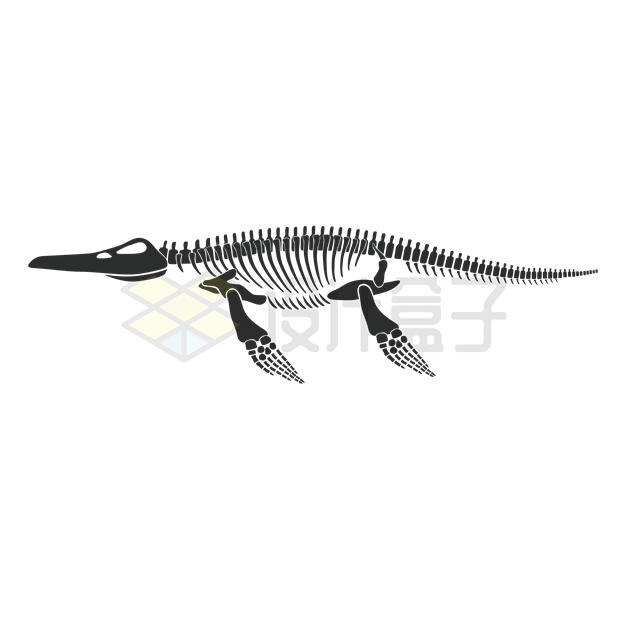 鱼龙骨骼骨架恐龙化石剪影图案1952198矢量图片免抠素材 科学地理-第1张