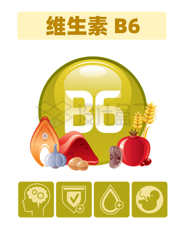 富含维生素B6的食物及其对身体健康的作用配图4938296矢量图片免抠素材 健康医疗-第1张