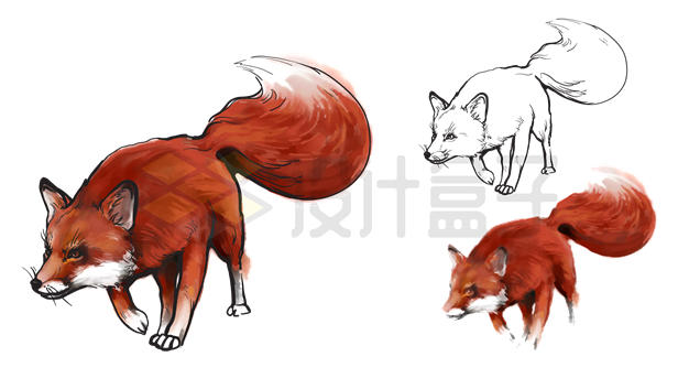 3种不同风格的红狐狸绘画作品5762902矢量图片免抠素材下载 生物自然-第1张