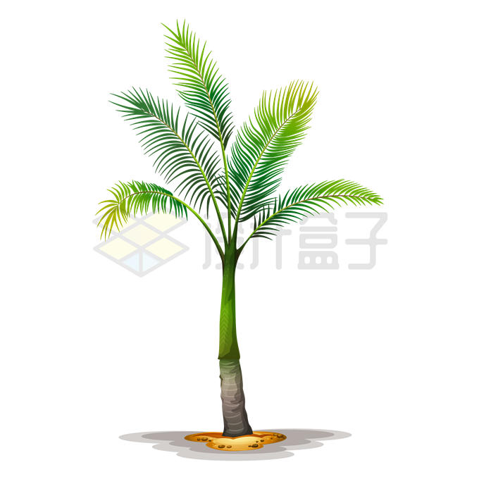 一棵假槟榔长满绿叶观叶植物1646185矢量图片免抠素材 生物自然-第1张