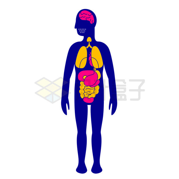大脑心肺胃肠道等卡通人体器官图案1846914矢量图片免抠素材 健康医疗-第1张