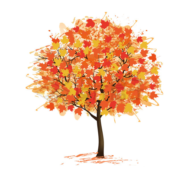秋天里叶子变红变黄的枫树2671955矢量图片免抠素材 生物自然-第1张