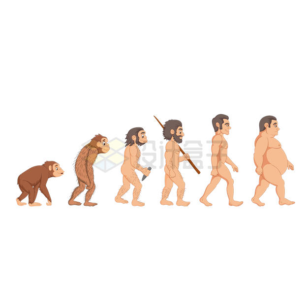 从猿猴进化成人类示意图2955278矢量图片免抠素材 人物素材-第1张