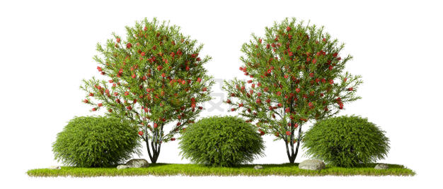公园草地上的两棵大树和灌木3D渲染图3324893PSD免抠图片素材 生物自然-第1张