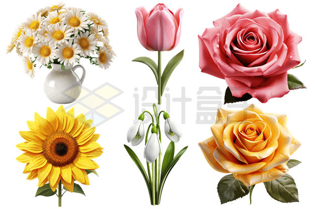 6款精美的花朵花卉6951876矢量图片免抠素材 生物自然-第1张