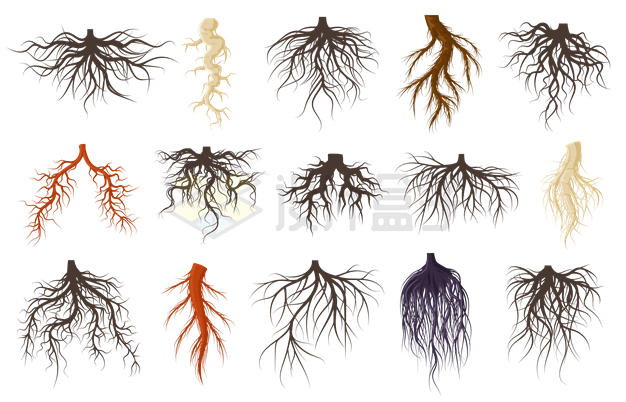 15款大树树根根须5107433矢量图片免抠素材 生物自然-第1张
