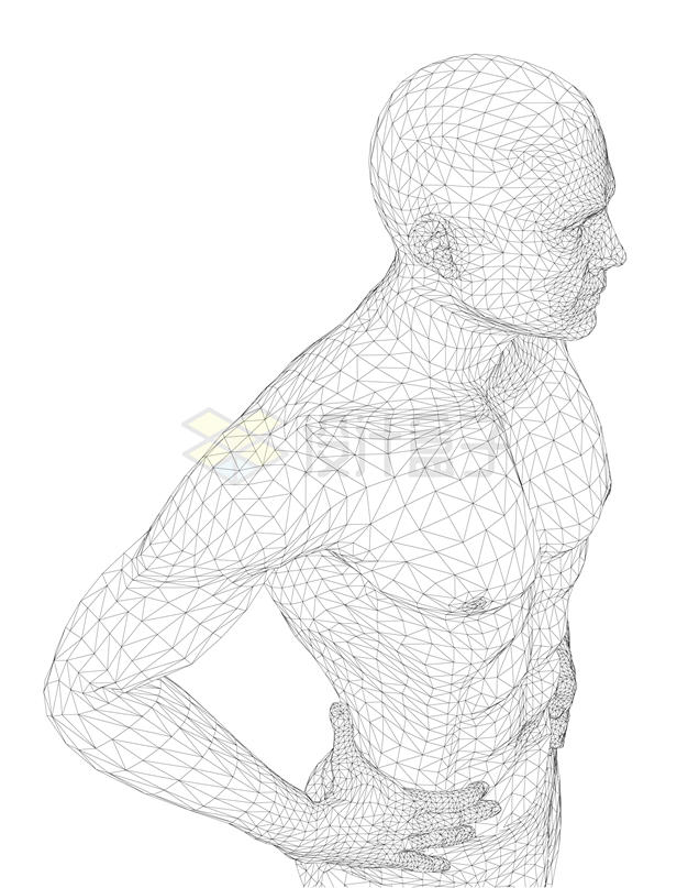 线条组成的多边形构成了人体身体模型7978698矢量图片免抠素材 线条形状-第1张