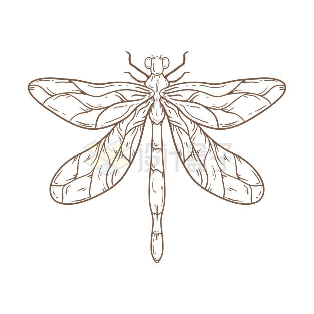 手绘风格蜻蜓插画7461541矢量图片免抠素材 生物自然-第1张