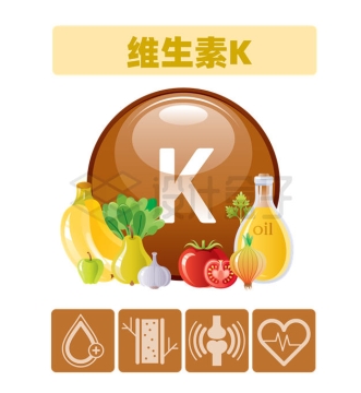 富含维生素K的食物及其对身体健康的作用配图3560881矢量图片免抠素材