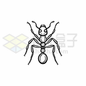 蚂蚁手绘线条插画2134859矢量图片免抠素材免费下载