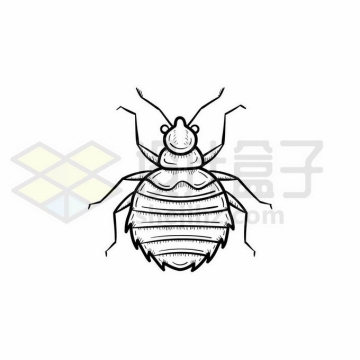 蚜虫手绘线条插画3472353矢量图片免抠素材免费下载