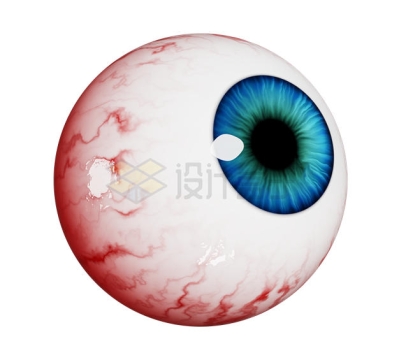 一颗逼真的布满血丝的人类眼球3D模型3047140PSD免抠图片素材