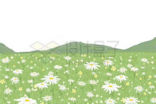 开满白色小野花的大草原草地5893916矢量图片免抠素材