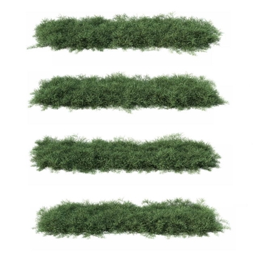 四棵3D渲染的侧柏灌木丛盆栽植物盆景454944PSD免抠图片素材
