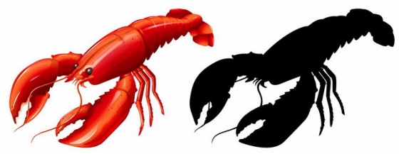 澳洲大龙虾和大龙虾剪影美味海鲜海产品png图片免抠矢量素材