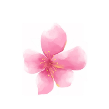 水彩画风格的粉色桃花花朵png图片免抠素材