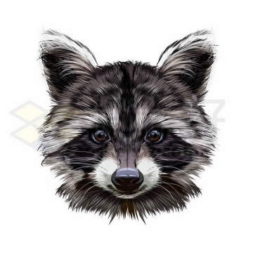 毛茸茸的小浣熊头像手绘插画4957482矢量图片免抠素材