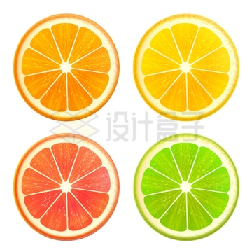 橙色黄色红色绿色橙子柠檬水果横切面2075193矢量图片免抠素材