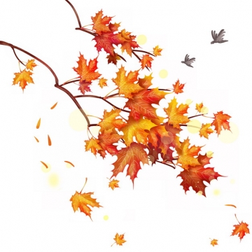 秋天枝头上的红枫叶树叶767683png图片素材