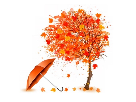 深秋变红的枫树和雨伞落叶1436024png免抠图片素材