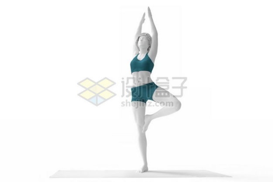 3D立体站在瑜伽垫上金鸡独立高举双手瑜伽动作瑜伽姿势人体模型1153080图片免抠素材