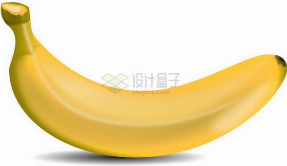 一根黄香蕉仙人蕉png图片素材