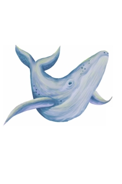 一只庞大的鲸鱼彩绘插画5247870免抠图片素材免费下载