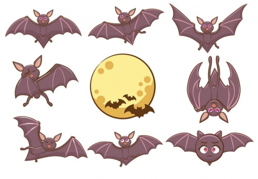 各种可爱的卡通蝙蝠野生动物图片免抠矢量图素材
