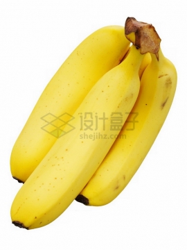 金黄色的香蕉仙人蕉png免抠图片素材