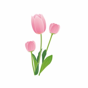 郁金香粉色花朵手绘插画3484741AI矢量图片免抠素材