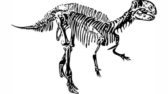 黑色霸王龙骨架化石手绘图案2876558png免抠图片素材