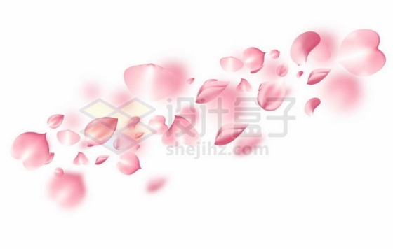 飘舞的粉色桃花花瓣2940441矢量图片免抠素材