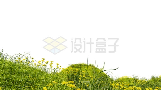 小山坡上的野花和青草地大草原风景2407438PSD免抠图片素材