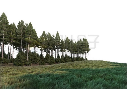 青青大草原草地旁边的树林中的大树自然景观4706600PSD免抠图片素材